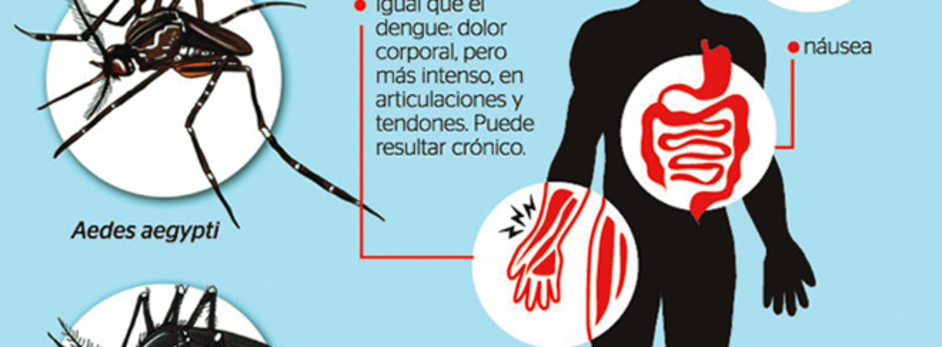 #salud #Tuxtepec #chikungunya SSO y Ayuntamiento de Tuxtepec capacitan a agentes de policía