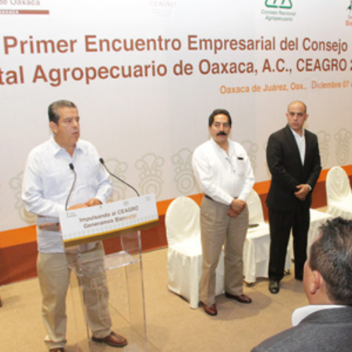 Federación y Gobierno de Oaxaca impulsan al sector agropecuario con una inversión de más de 3 mil MDP