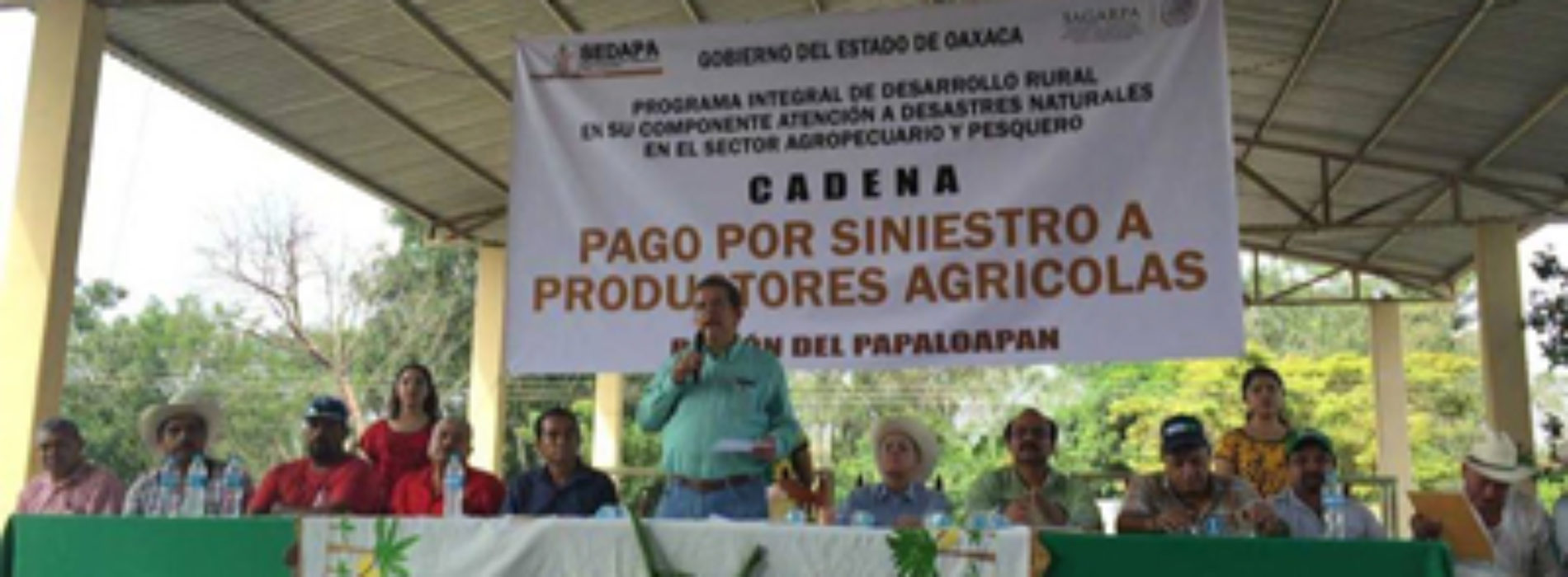 Entrega SEDAPA recursos por 1.9 MDP a productores de plátano por siniestros