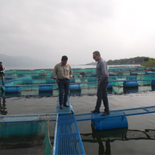 Crece 28.1% la producción pesquera en Oaxaca