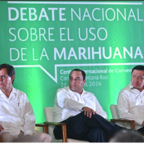Osorio: leyes sobre mariguana necesitan diagnóstico sólido