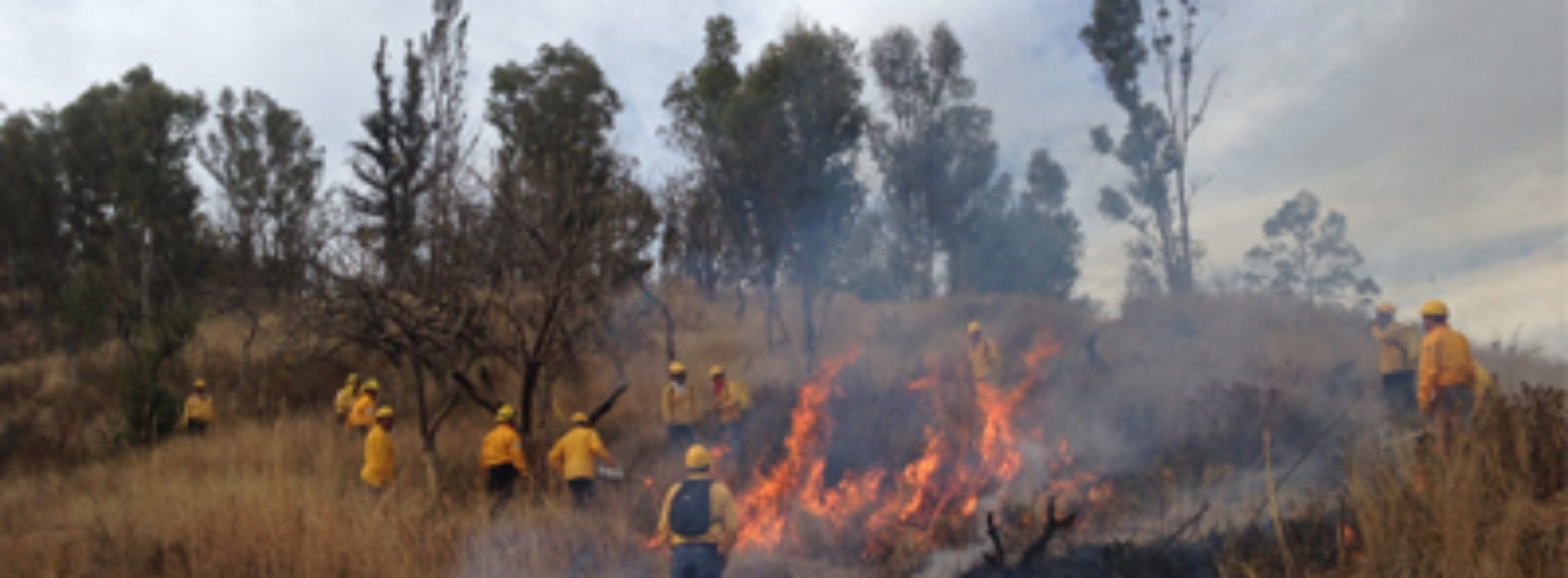 Establece Gobierno de Oaxaca líneas negras para la prevención de incendios forestales en el Cerro del Fortín