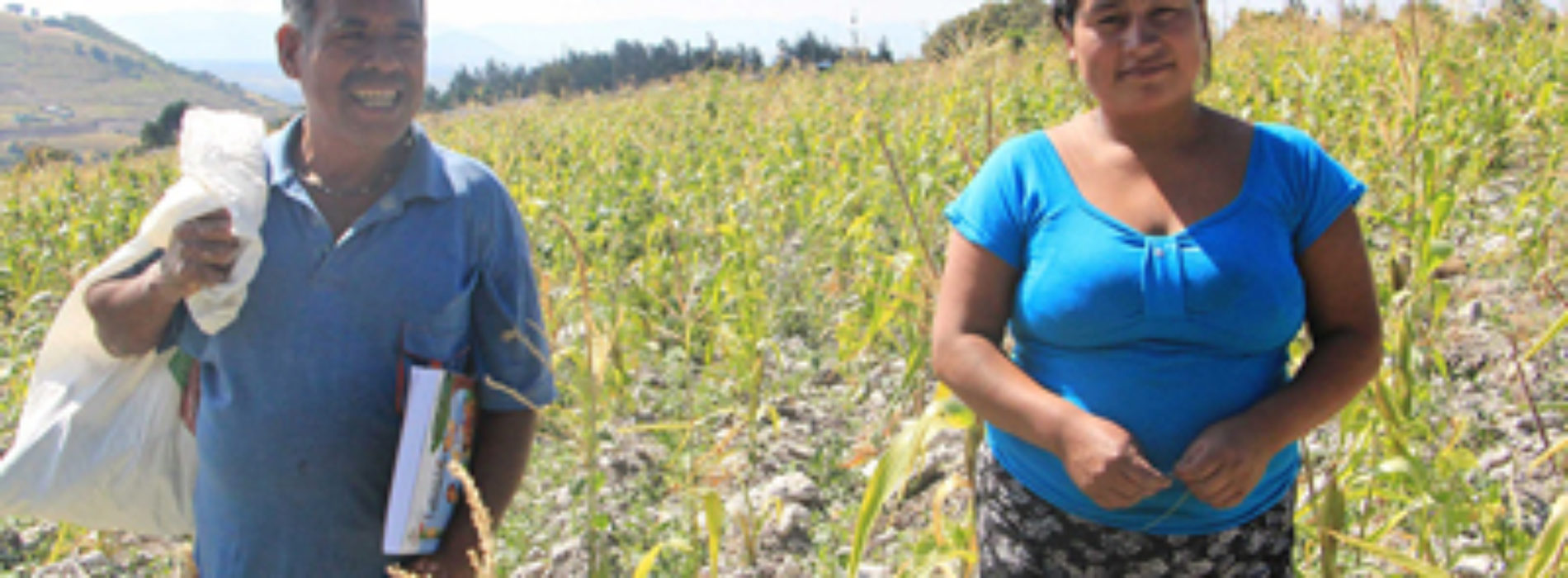 IEEA y SAGARPA cultivan la semilla del desarrollo en Oaxaca