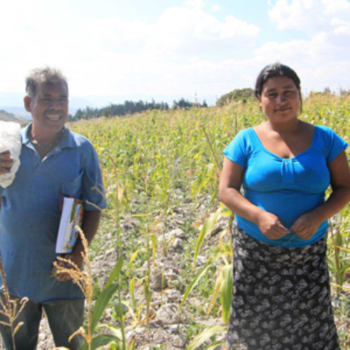 IEEA y SAGARPA cultivan la semilla del desarrollo en Oaxaca