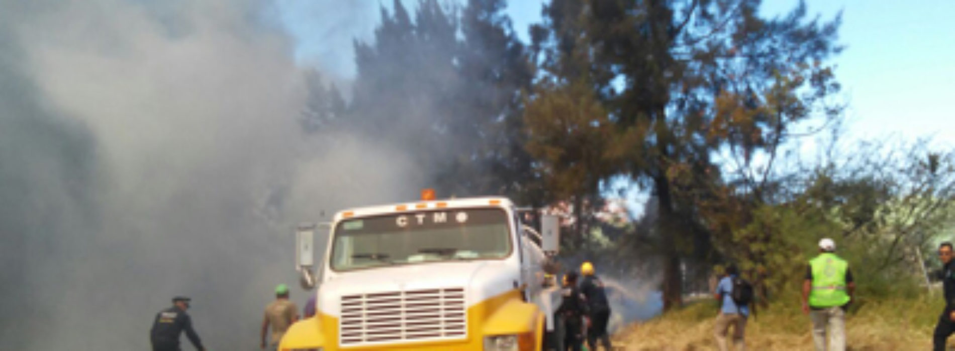 Atienden cuerpos de seguridad y auxilio del Gobierno  de Oaxaca incendio en Santa Lucía del Camino