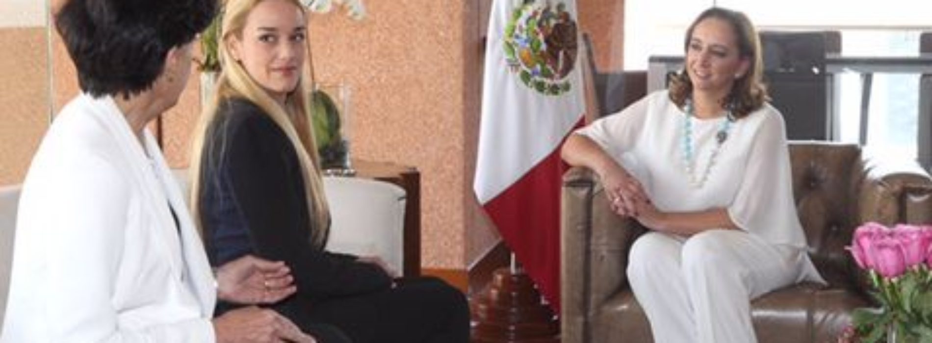 Canciller se reunió con esposa de disidente venezolano