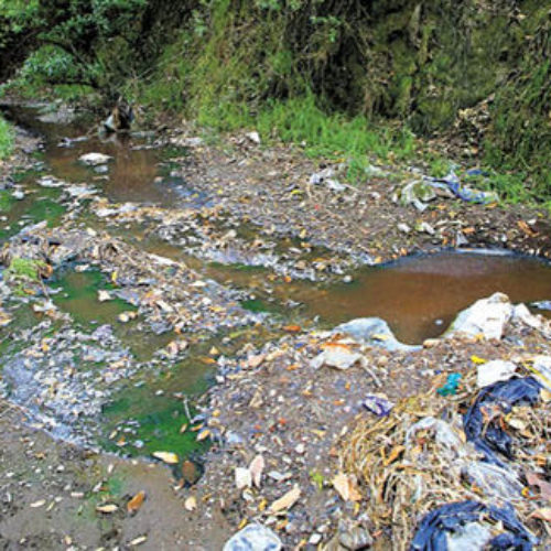 PVEM pide sancionar a quien contaminó el río Atoyac