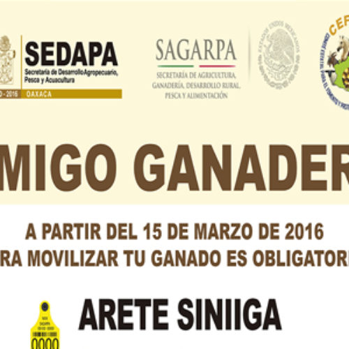 Obligatorio identificación individual de ganado para su movilización en Oaxaca: SEDAPA