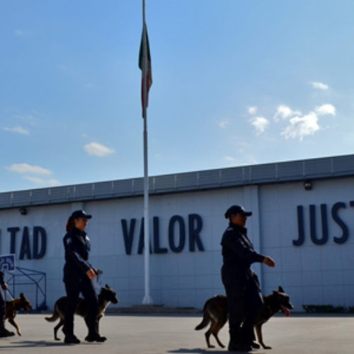 Mujeres policías, presentes en unidad canina de la Dirección de Reacción y Alerta Inmediata: SSPO