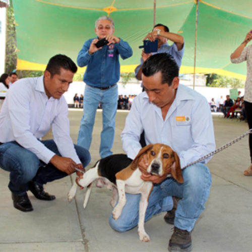 Arranca SSO Semana Nacional de Vacunación Antirrábica canina y felina
