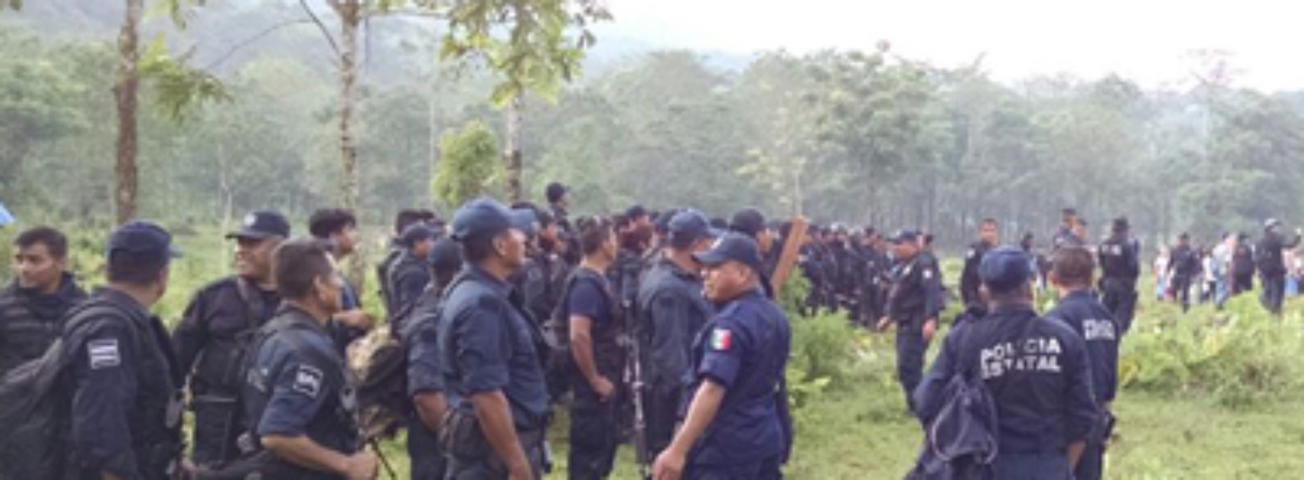 En apego a la legalidad, fuerzas de seguridad  desalojan  a invasores de territorio Chimalapa