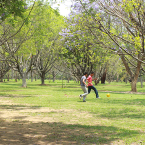 Rehabilitan Bosque y Unidad Deportiva “El Tequio”