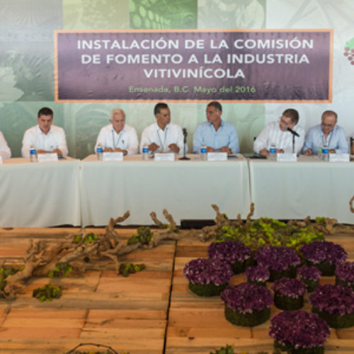 Impulsa CONAGO desarrollo industrial vitivinícola para  fortalecer la economía nacional: Gabino Cué
