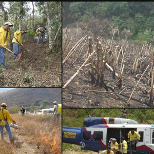 Exhorta SEDAPA evitar incendios forestales en Oaxaca