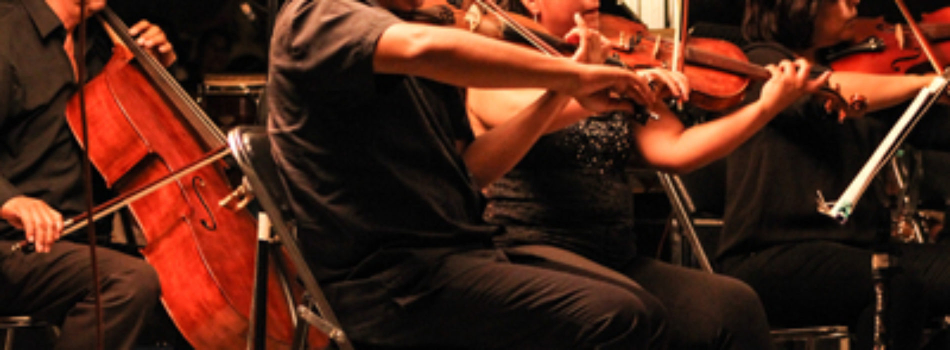 Busca Orquesta “Primavera” de Oaxaca intérprete de Viola