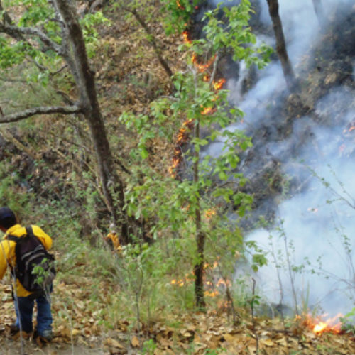 Gobierno de Oaxaca reconoce labor y compromiso de combatientes de incendios forestales
