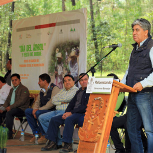 Inicia Gobierno de Oaxaca Programa Estatal Forestal 2016