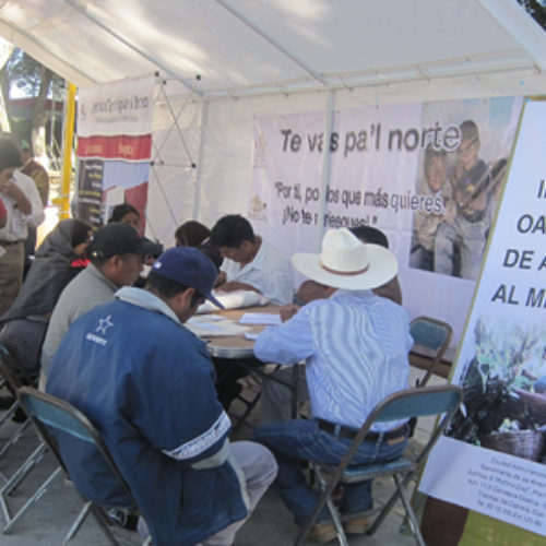 Gobierno de Oaxaca fortalece la atención y promoción de servicios en beneficio de migrantes