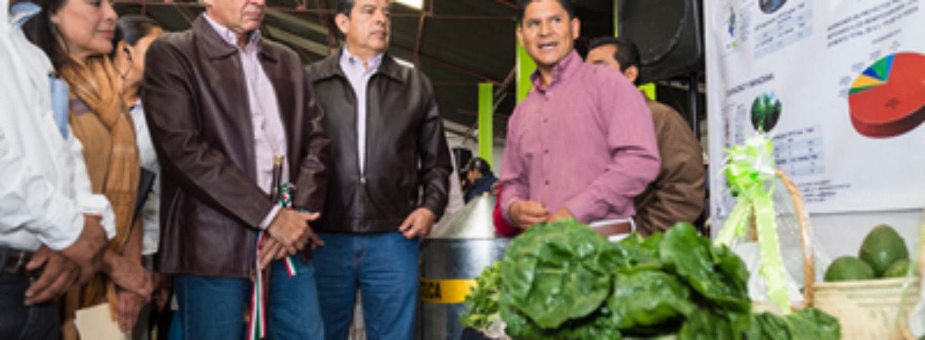 Crece Oaxaca 15.7% en producción de carne de ganado bovino: Gabino Cué
