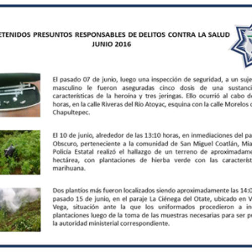 Impide policía estatal la distribución de 134 dosis de droga y destruye tres plantaciones durante junio: SSPO