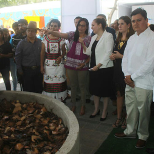 Inaugura Secretaría de Turismo la 19ª Feria Internacional del Mezcal 2016