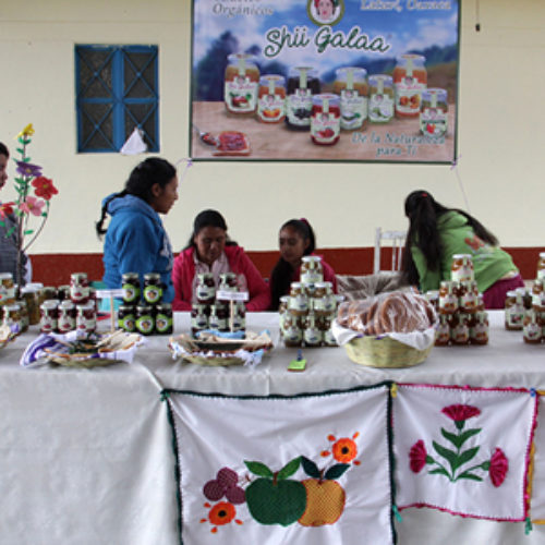 Realizan 3ª Feria de la Manzana en la Sierra Juárez