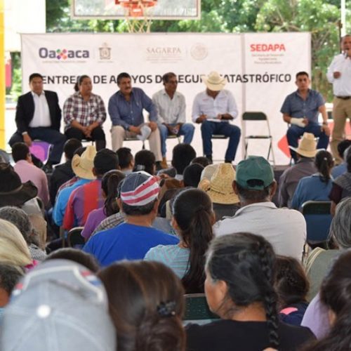 Entregan Sagarpa y Sedapa seguros agropecuarios por 65 mdp en Oaxaca