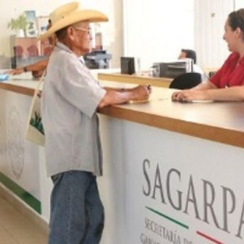 Este lunes 31 de julio SAGARPA Oaxaca abre ventanilla de Reincorporación al PROAGRO Productivo.