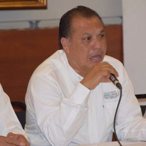 Cambian a dirigente de CNC; se va Lilia Mendoza y llega Lino
Velásquez