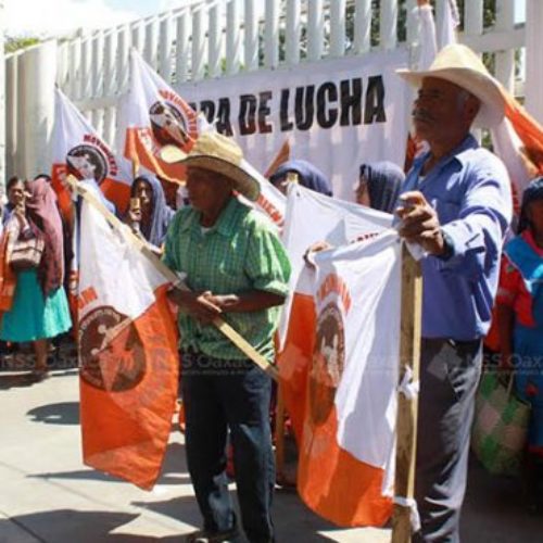 Indefinición de partidos provoca caos en Oaxaca: IP