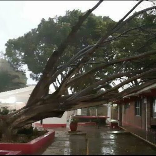 Implementa CEPCO operativo por lluvias fuertes en
Oaxaca