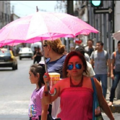 Llaman a prevenir enfermedades ante temporada de calor en
Oaxaca