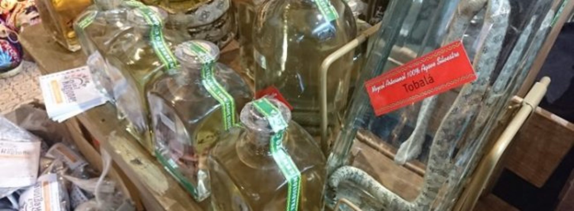 PROFEPA asegura reptiles y arácnidos en botellas de mezcal,
comercializados en mercado de Oaxaca