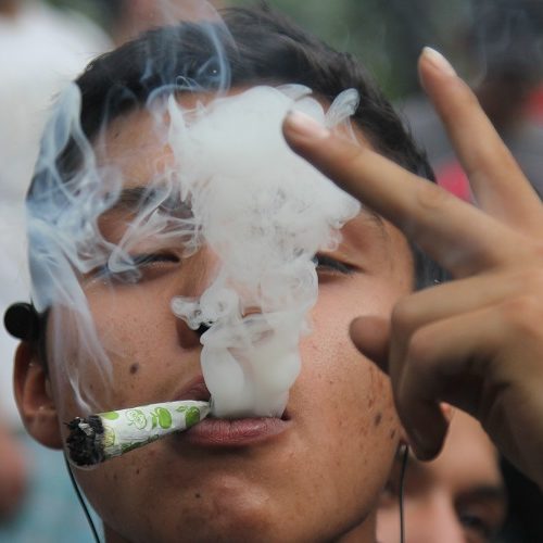 La Corte concede un segundo amparo a favor del uso
recreativo de la mariguana en México