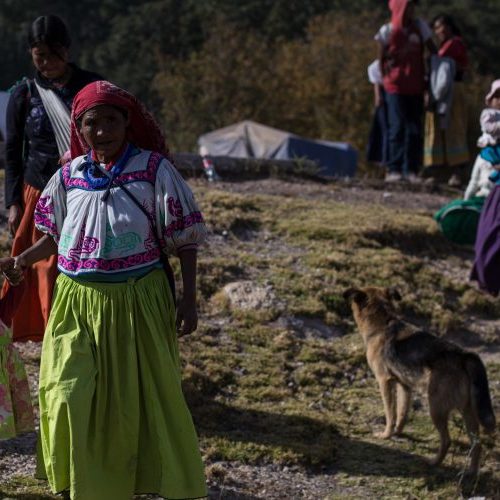 Wixárikas ponen plazo a autoridades para intervenir en
conflicto de tierra en Jalisco; sigue el bloqueo de
campañas