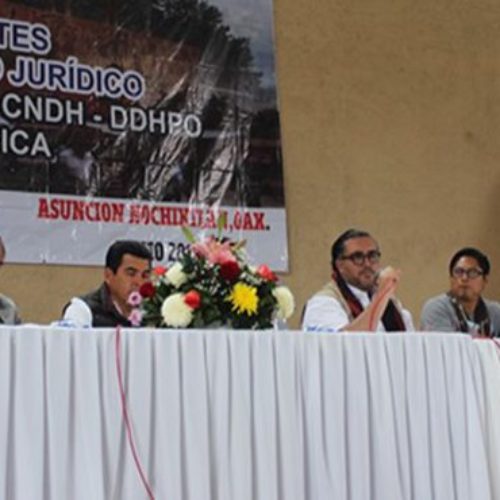 Estado debe garantizar pleno acceso a la justicia a las
víctimas de Nochixtlán: Peimbert Calvo