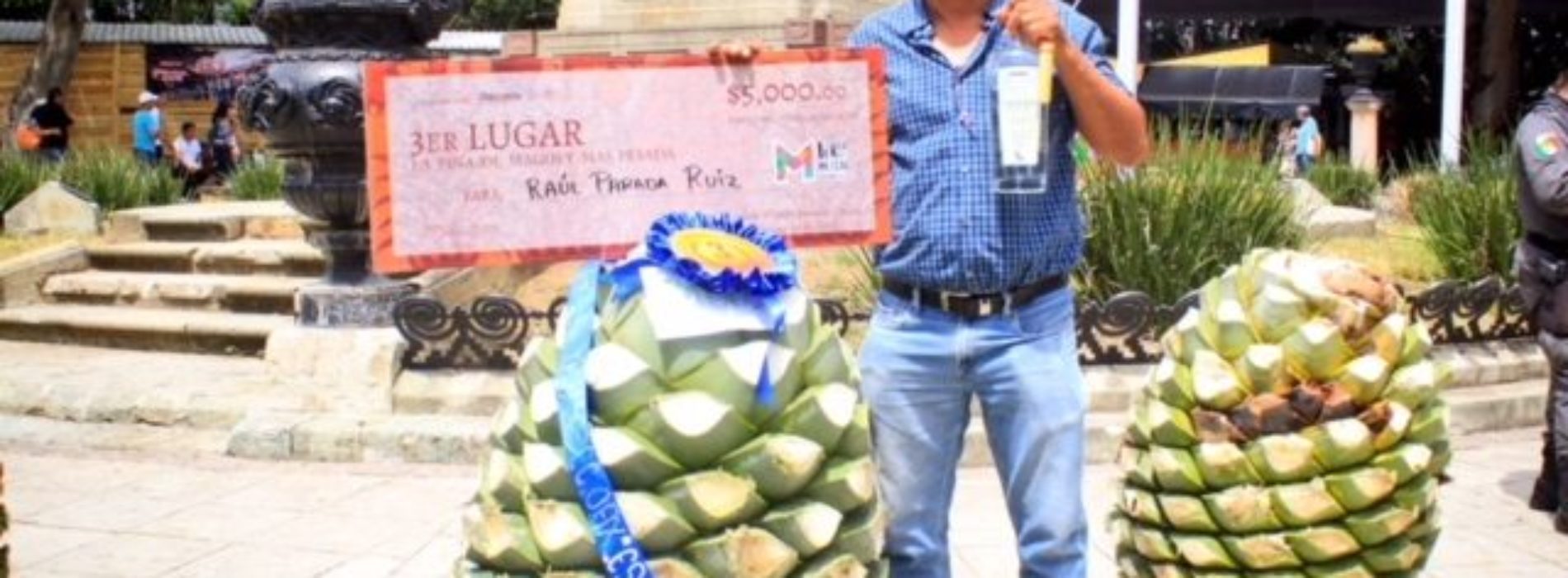 Premian a la piña de maguey más pesada