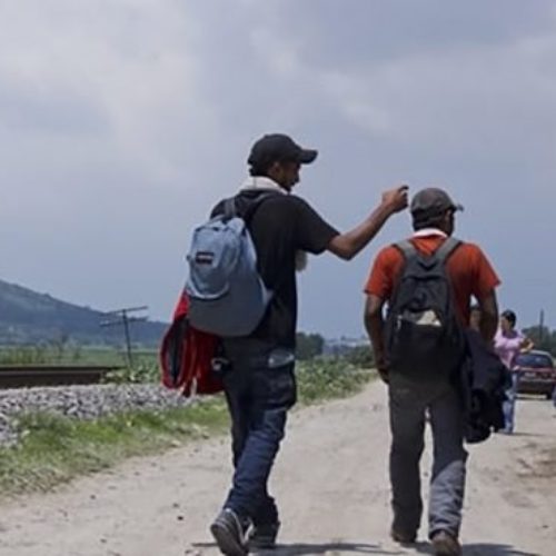 Detienen a 10 centroamericanos en inmediaciones de
Tlacolula