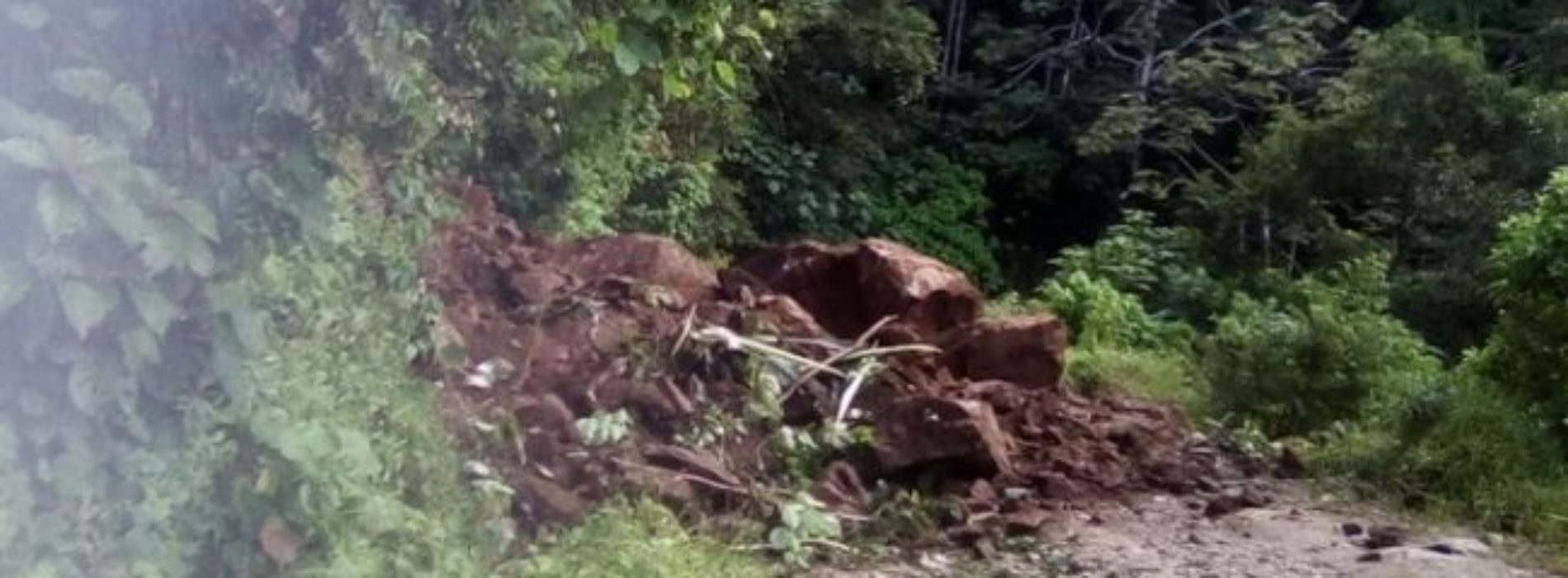 Oaxaca en alerta verde por Tormenta Tropical
“Ileana”