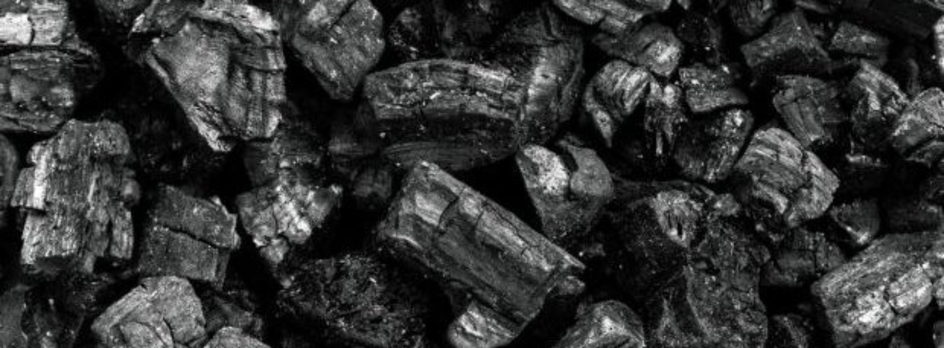 Oaxaqueños ponen en marcha la primera planta de carbón en el
país