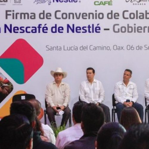Oaxaca, ejemplo de éxito en acuerdo productivo de café:
Alejandro Murat