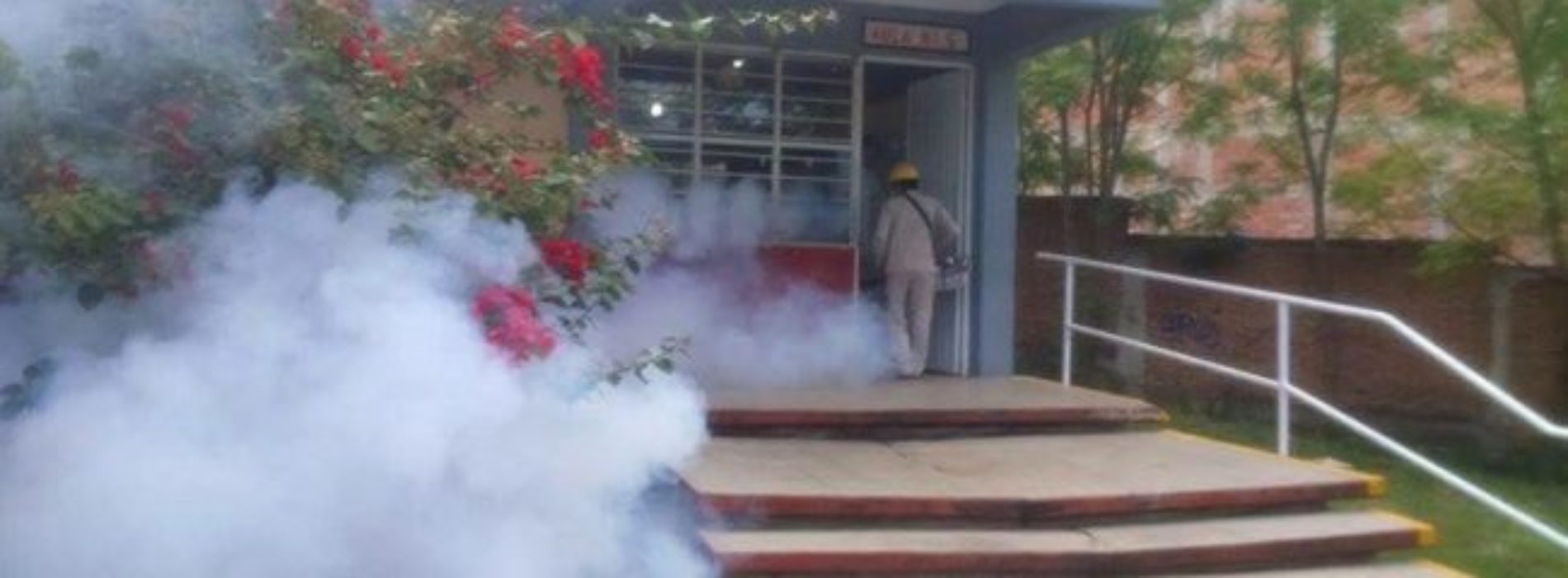 Recomienda IEEPO acciones de prevención del Dengue,
Chikungunya y Zika en escuelas