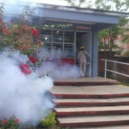 Recomienda IEEPO acciones de prevención del Dengue,
Chikungunya y Zika en escuelas
