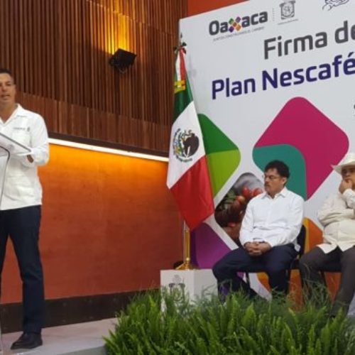 Plan Nescafé-Nestle beneficiará a 520 productores de
Oaxaca