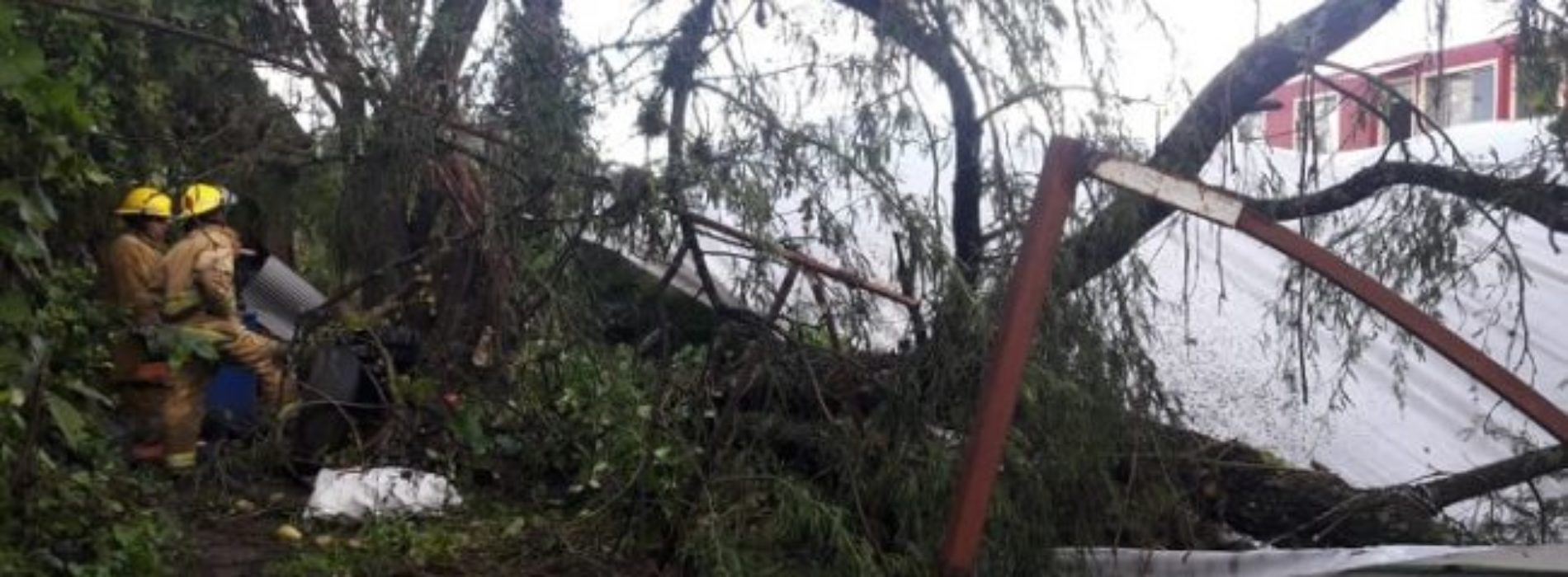 Lluvias dejan daños en Oaxaca: CEPCO