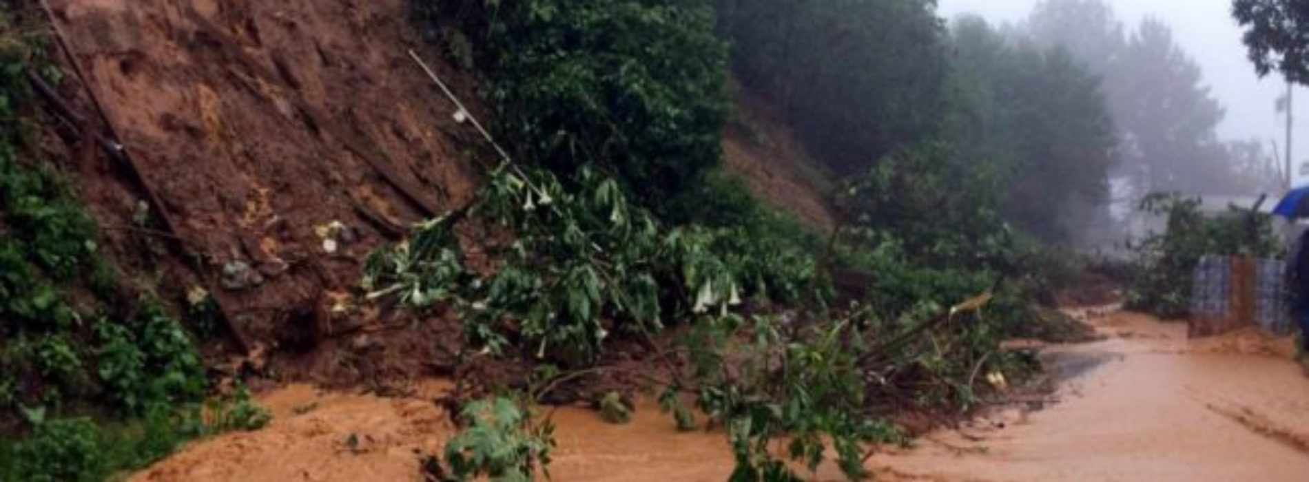 Confirman 7 víctimas mortales por lluvias en Oaxaca