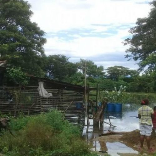 Buscan a familia que abandonó su comunidad para huir de las
lluvias en Oaxaca