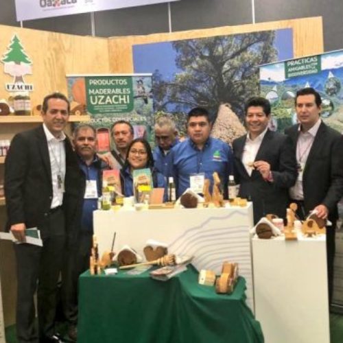 11 empresas madereras de la Sierra Norte, presentes en la
Expo Forestal 2018