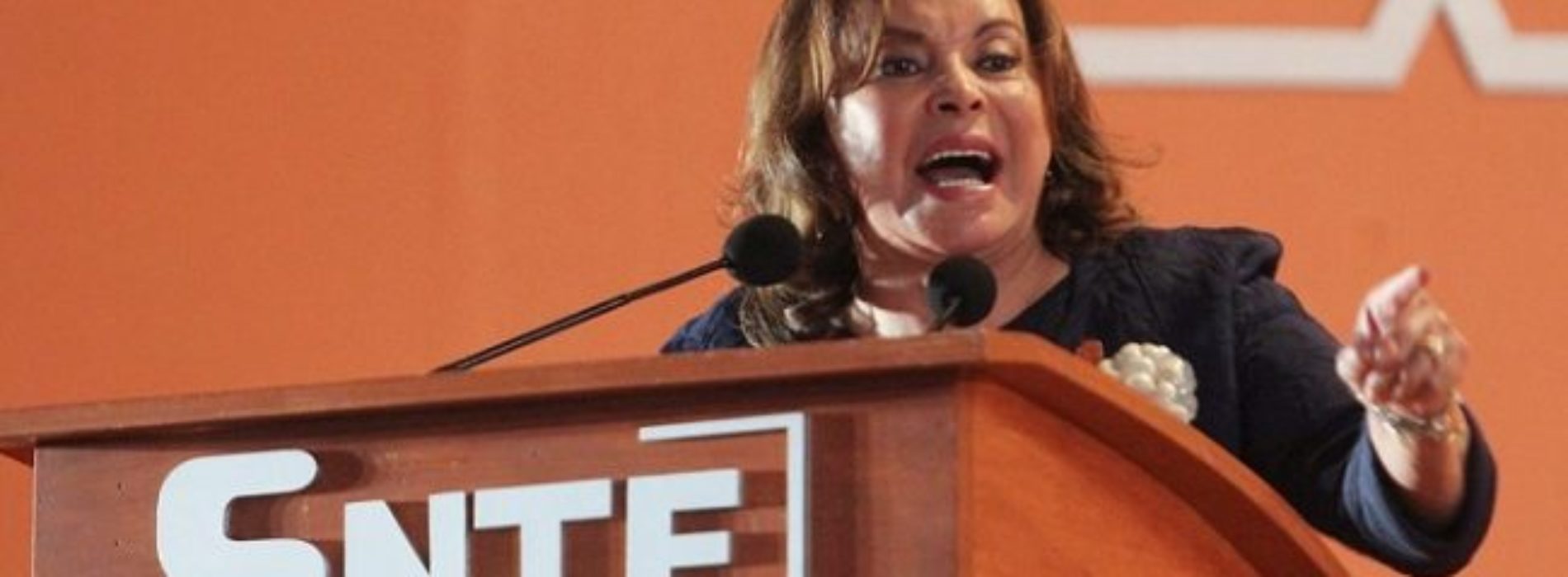 SNTE en Oaxaca rechaza a Elba Esther Gordillo; va con Díaz
de la Torre