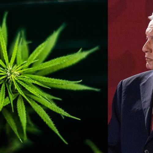 AMLO evade pronunciarse sobre creación del Instituto de la cannabis